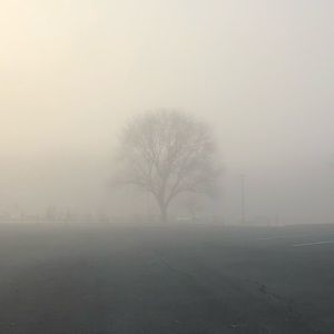 Meet your Posher, Miguel